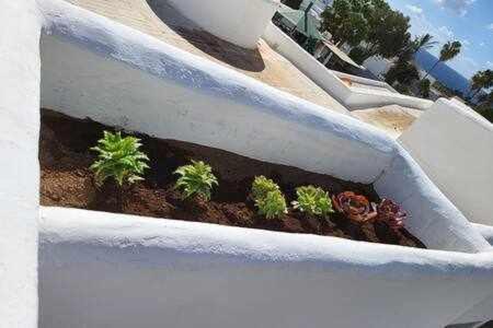 Fantastico Apartamento Con Terraza Y Vistas Al Mar Costa Teguise Buitenkant foto